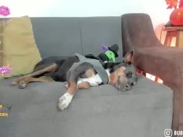 Private burbuja_cosmic on Chaturbate