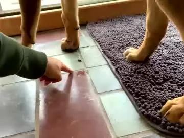 Freechat intothewoodswego on Chaturbate