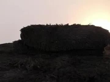 Freechat laurensmith9 on Chaturbate