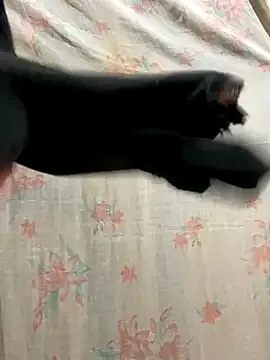 Cuckold-masters-dog on StripChat 