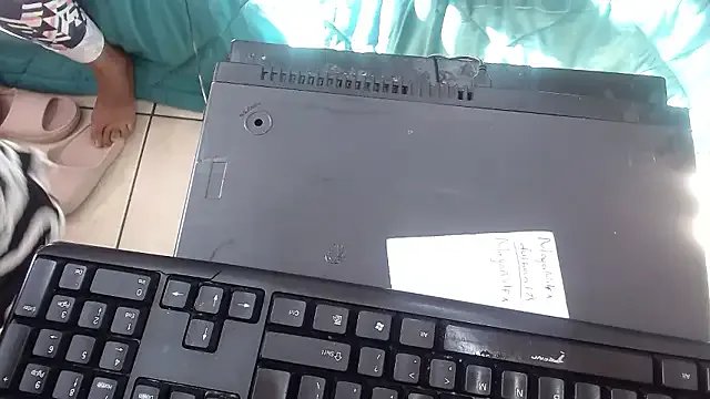 EMBER_FOX on StripChat 