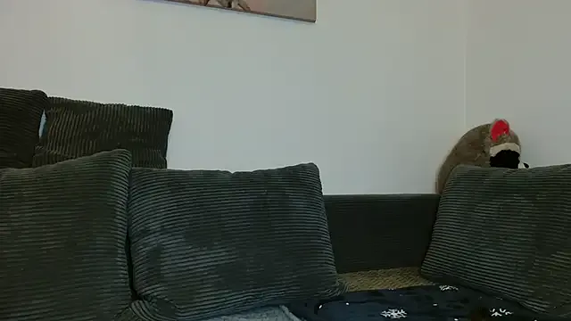 Offline Jasmin-White on StripChat