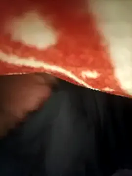 Offline Lovely_priya1001 on StripChat