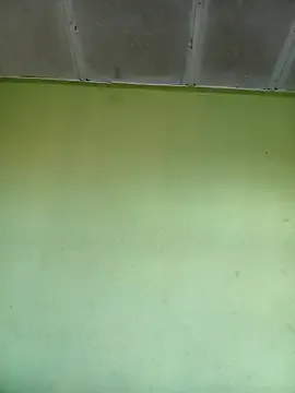 Offline phumlanisanka on StripChat