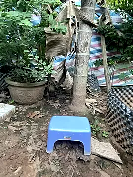 Offline XndSeraphina on StripChat