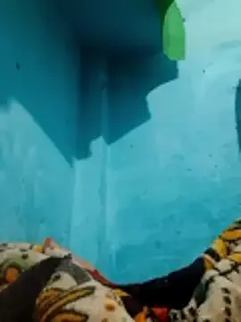 Offline zahra3 on StripChat