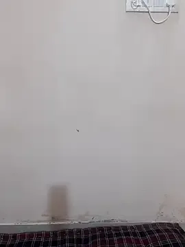 Offline zahra3 on StripChat