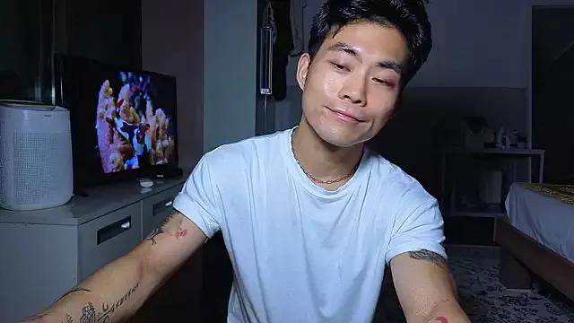 Asian: check-out streams with sophisticated hosts, from undressing to fixations, in a variety of sweet adult cams.