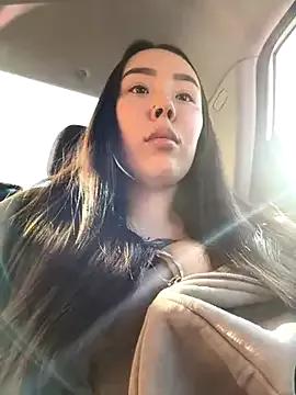 Asian: check-out streams with sophisticated hosts, from undressing to fixations, in a variety of sweet adult cams.
