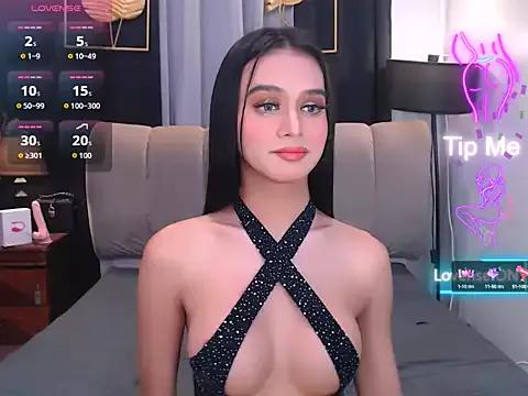 Asian: check-out streams with sophisticated hosts, from undressing to fixations, in a variety of sweet adult cams.
