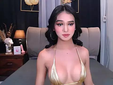 Asian: check-out streams with sophisticated hosts, from undressing to fixations, in a variety of sweet adult cams.