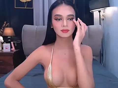 Asian: check-out streams with sophisticated hosts, from undressing to fixations, in a variety of sweet adult cams.