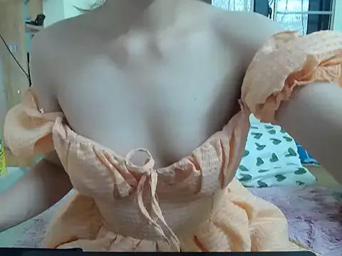 Asian: check-out streams with sophisticated hosts, from undressing to fixations, in a variety of sweet adult cams.