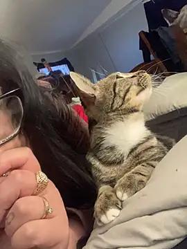 Karmaa89 from StripChat is Freechat