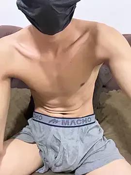 Asian: check-out streams with sophisticated hosts, from undressing to fixations, in a variety of sweet adult cams.