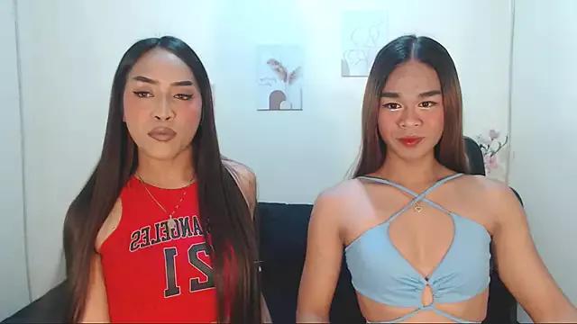 Asian: check-out streams with sophisticated hosts, from undressing to fixations, in a variety of sweet adult cams.