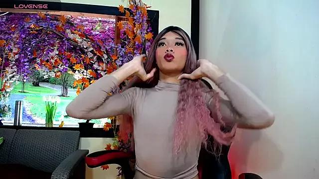 Asian: check-out streams with sophisticated hosts, from undressing to fixations, in a variety of sweet adult cams.