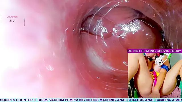 Asian: check-out streams with sophisticated hosts, from undressing to fixations, in a variety of sweet adult cams.