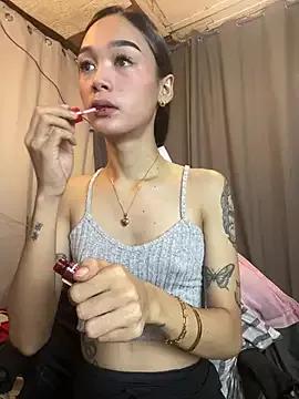 Asian: check-out streams with sophisticated hosts, from undressing to fixations, in a variety of sweet adult cams.