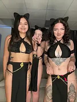 Asian: check-out streams with sophisticated hosts, from undressing to fixations, in a variety of sweet adult cams.