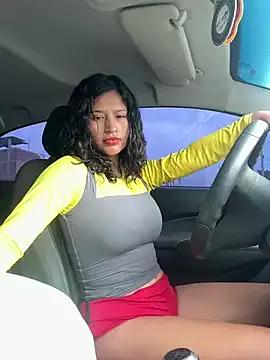 Asian: check-out streams with sophisticated hosts, from undressing to fixations, in a variety of sweet adult cams.
