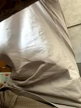 Asian: check-out streams with sophisticated hosts, from undressing to fixations, in a variety of sweet adult cams.