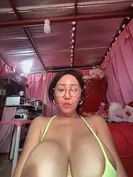 Asian: check-out streams with sophisticated hosts, from undressing to fixations, in a variety of sweet adult cams.