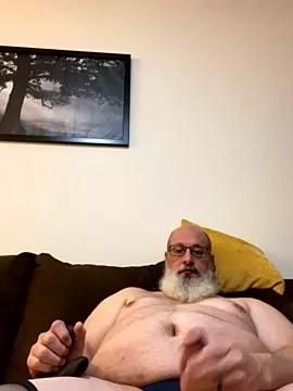 Taxes2020 webcams show profile image 