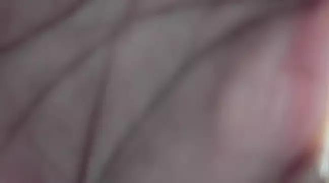 Incite your eccentricities: Get kinky and please these steamy asian sluts, who will reward you with wacky outfits and vibrating toys.
