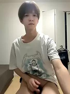 Asian: check-out streams with sophisticated hosts, from undressing to fixations, in a variety of sweet adult cams.